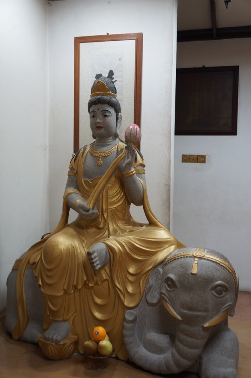DSC00439