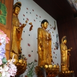 fjxcmituoyuan-002