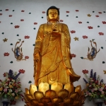 fjxcmituoyuan-003